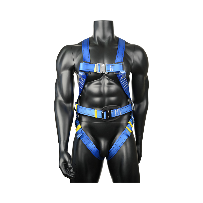 Niestandardowe szelki bezpieczeństwa