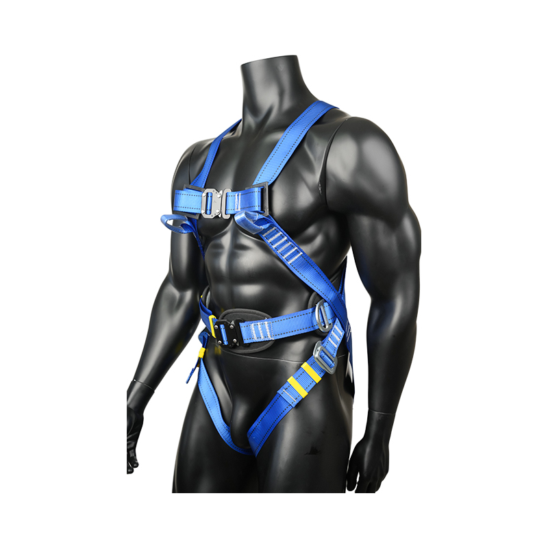 Niestandardowe szelki bezpieczeństwa