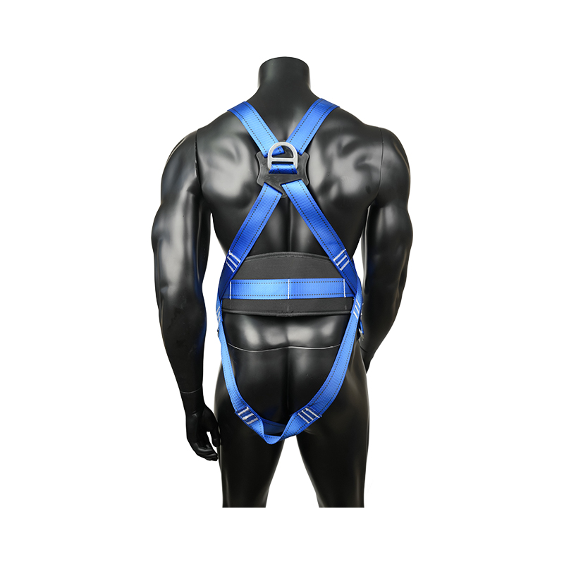 Niestandardowe szelki bezpieczeństwa